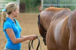 Equine Therapy Facilitator
