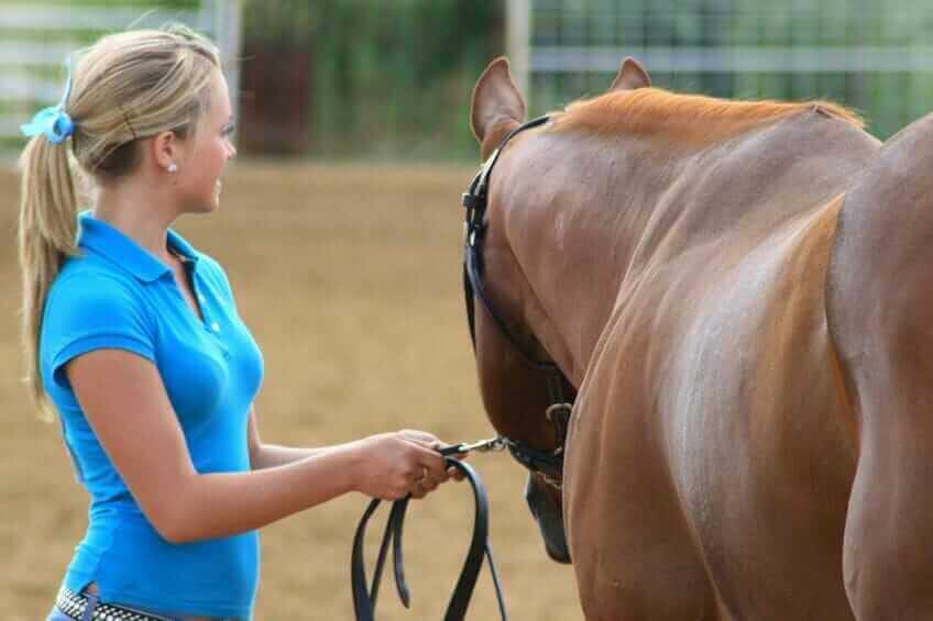 Equine Therapy Facilitator